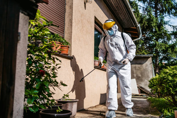 Best Wasp Removal Services  in Geneva, IN