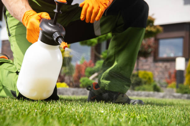 Best Termite Control Services  in Geneva, IN