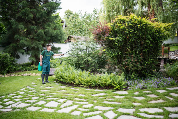 Best Bird Control  in Geneva, IN