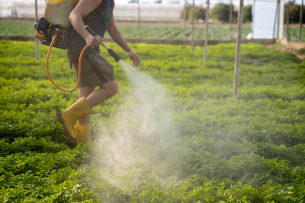 Best Pest Inspection Near Me  in Geneva, IN