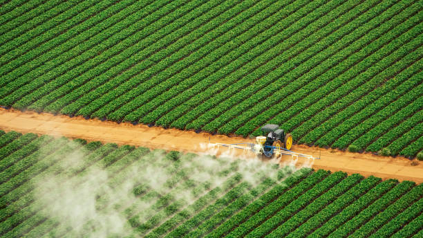 Best Pest Removal Services  in Geneva, IN