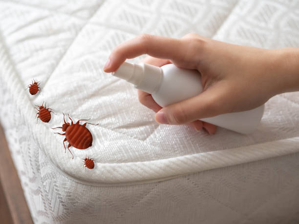 Best Cockroach Control Services  in Geneva, IN