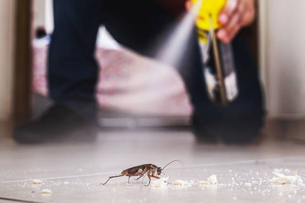 Best Mosquito Control Services  in Geneva, IN
